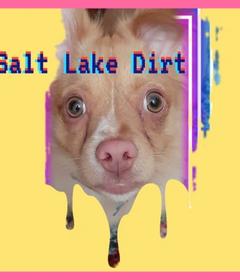 Salt Lake Dirt