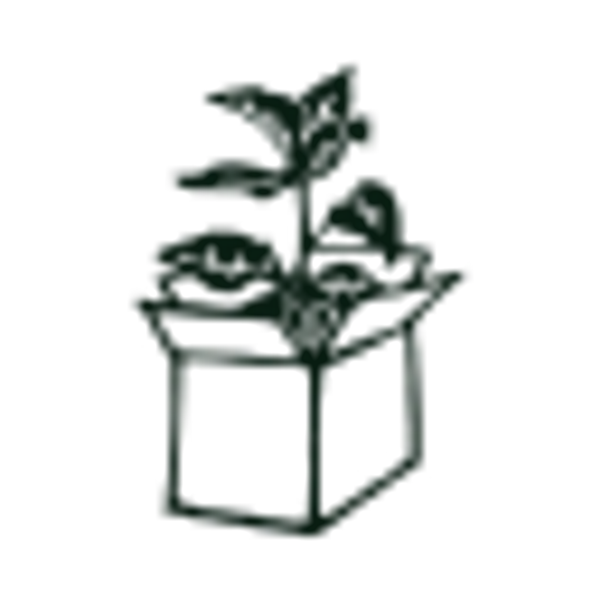 Sustainable Packaging
