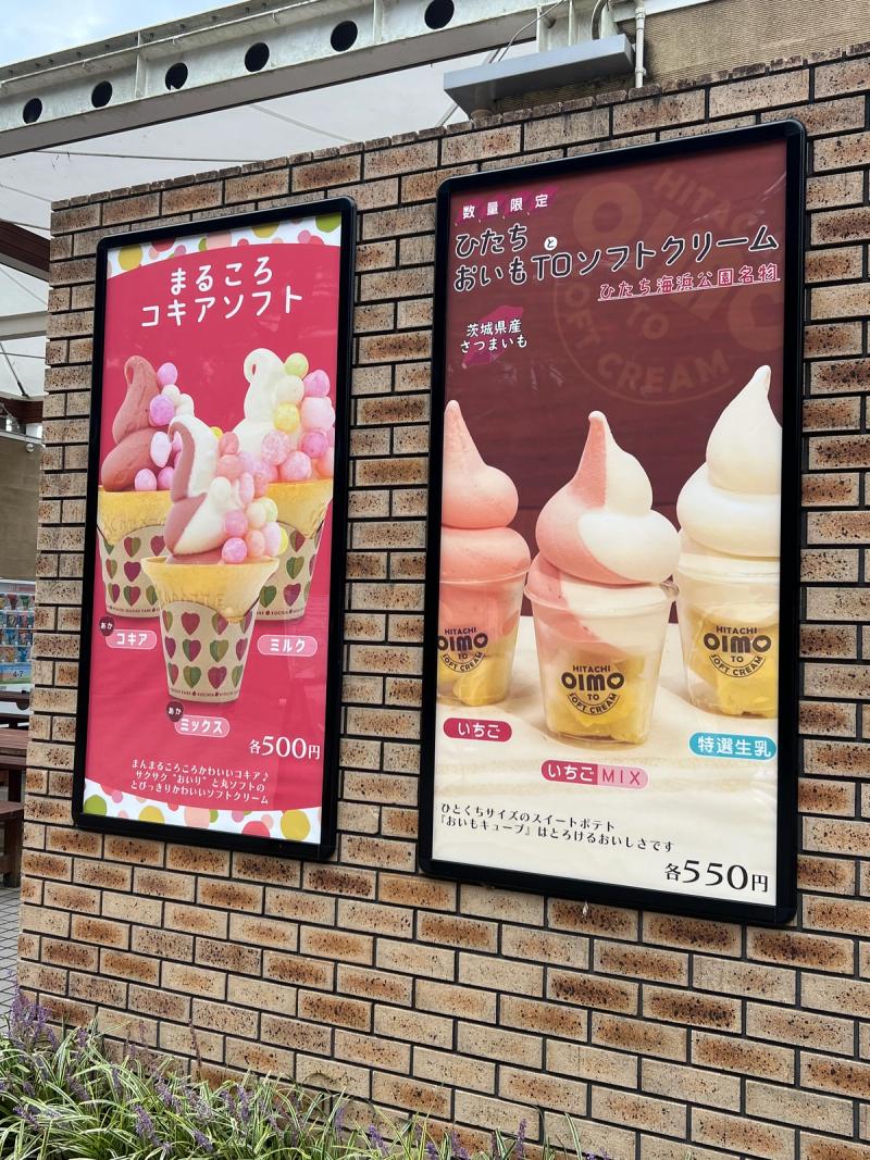 ひたち海浜公園コキアソフト