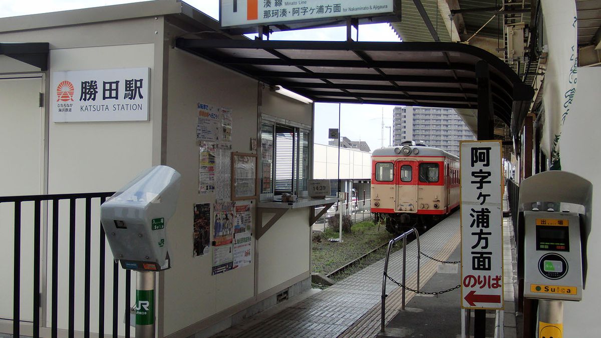 Hitachinaka Seaside Park Admission Ticket with Minato Line 1-Day Free Pass | A Great Set Ticket Available for Purchase via Smartphone【Hitachinaka Seaside Railway】