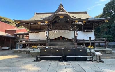 酒列磯前神社｜樹齢300年の樹叢トンネルと海を望む絶景パワースポット【茨城県ひたちなか市】