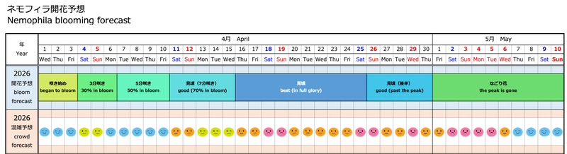 2026年ネモフィラ開花予想（ひたち海浜公園）