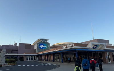 NIGHT AQUAWORLD｜アクアワールド大洗（水族館）の土曜夜限定ガイド
