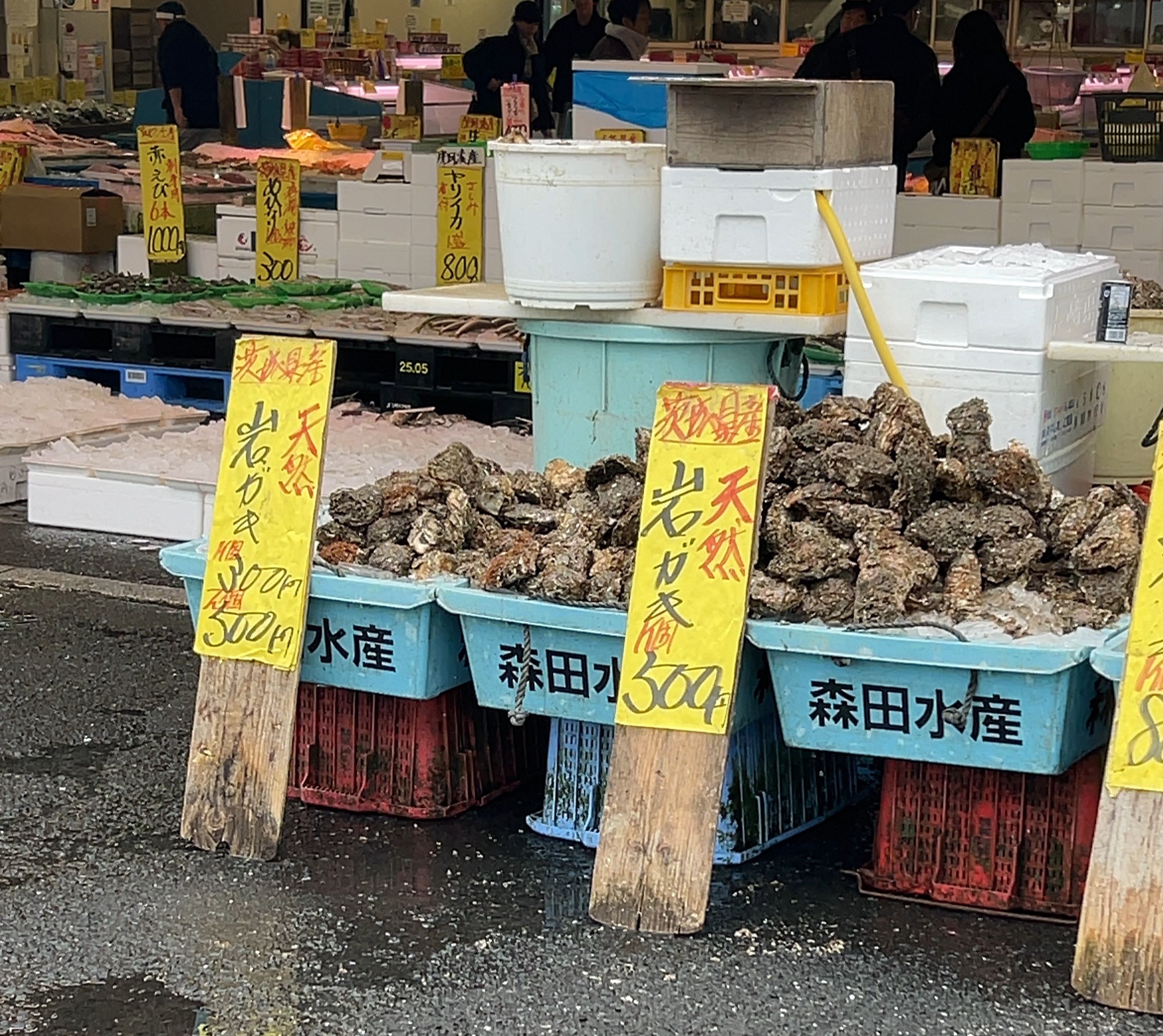 Complete Guide to Nakaminato Fish Market | Enjoy Fresh Seafood
