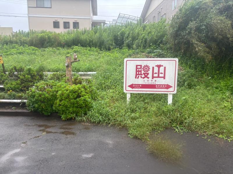 ハマギクとケイトウが描かれた殿山駅の駅名標