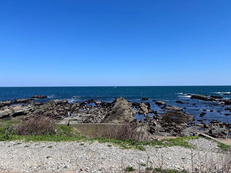 遊歩道から見た平磯白亜紀層の全景