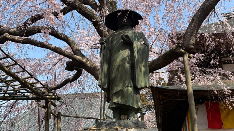 弘法大師像と満開の桜が彩る境内