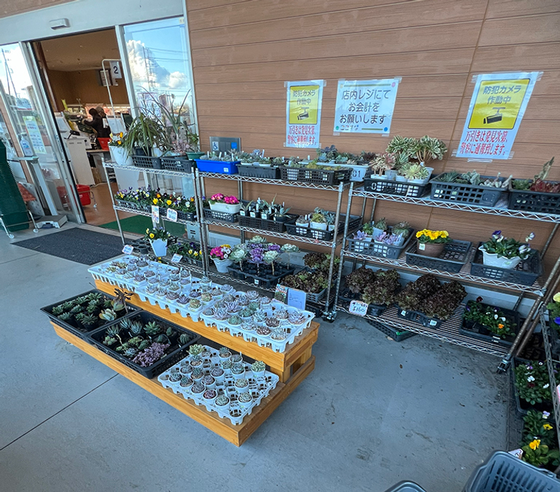 長砂ファーマーズマーケット ここすな