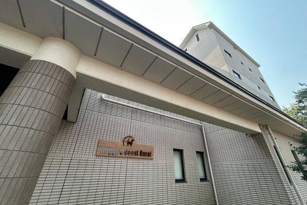 Ｄｏｇｇｙ’ｓ　Ｃｏａｓｔ　Ｏａｒａｉ