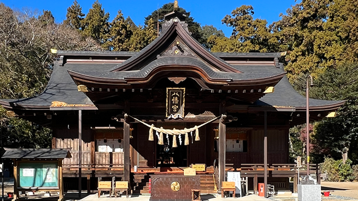 水户八幡宫｜重要文化财的社殿和天然纪念物的巨木是看点【水户】