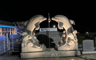 ひたち海浜公園×アクアワールド大洗 前売りセット券｜2026年春のネモフィラ＆水族館をお得に周遊