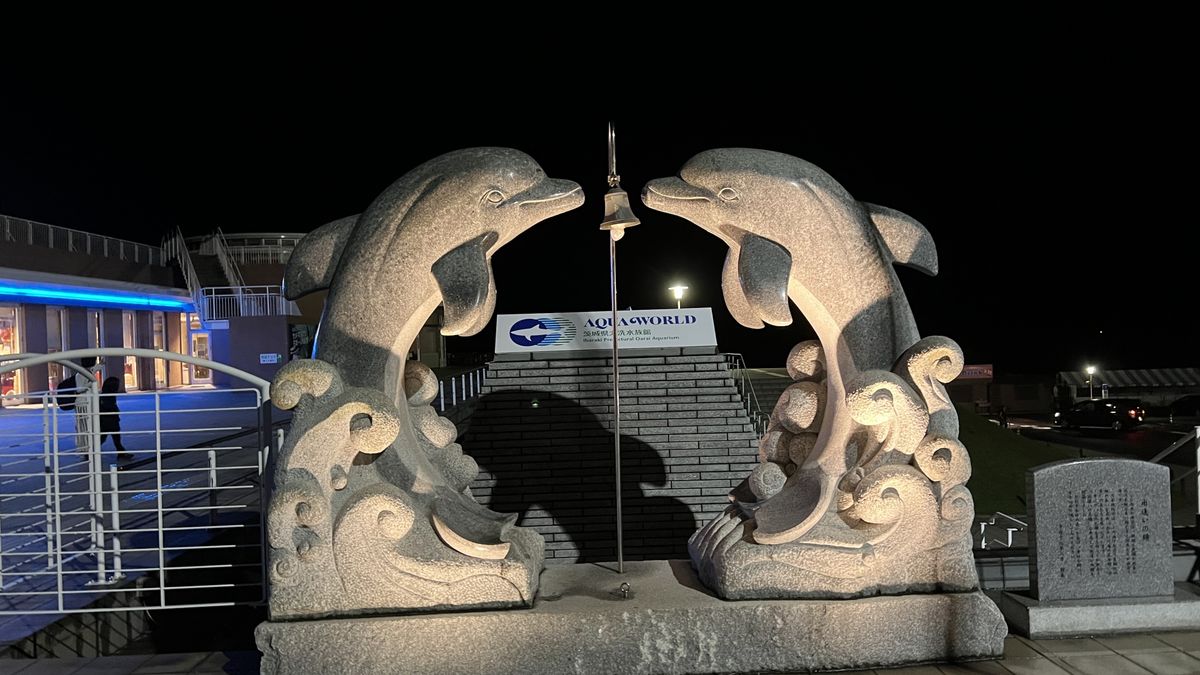 日立海滨公园×水族馆大洗预售套票｜2026年春季蓝花菜与水族馆的优惠游玩