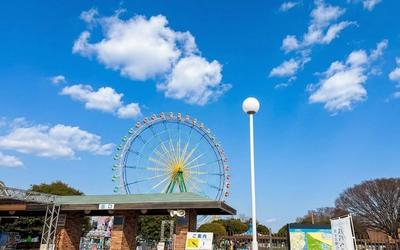 Top 10 Budget Hotels Near Hitachi Seaside Park | Listed by Proximity to the Park