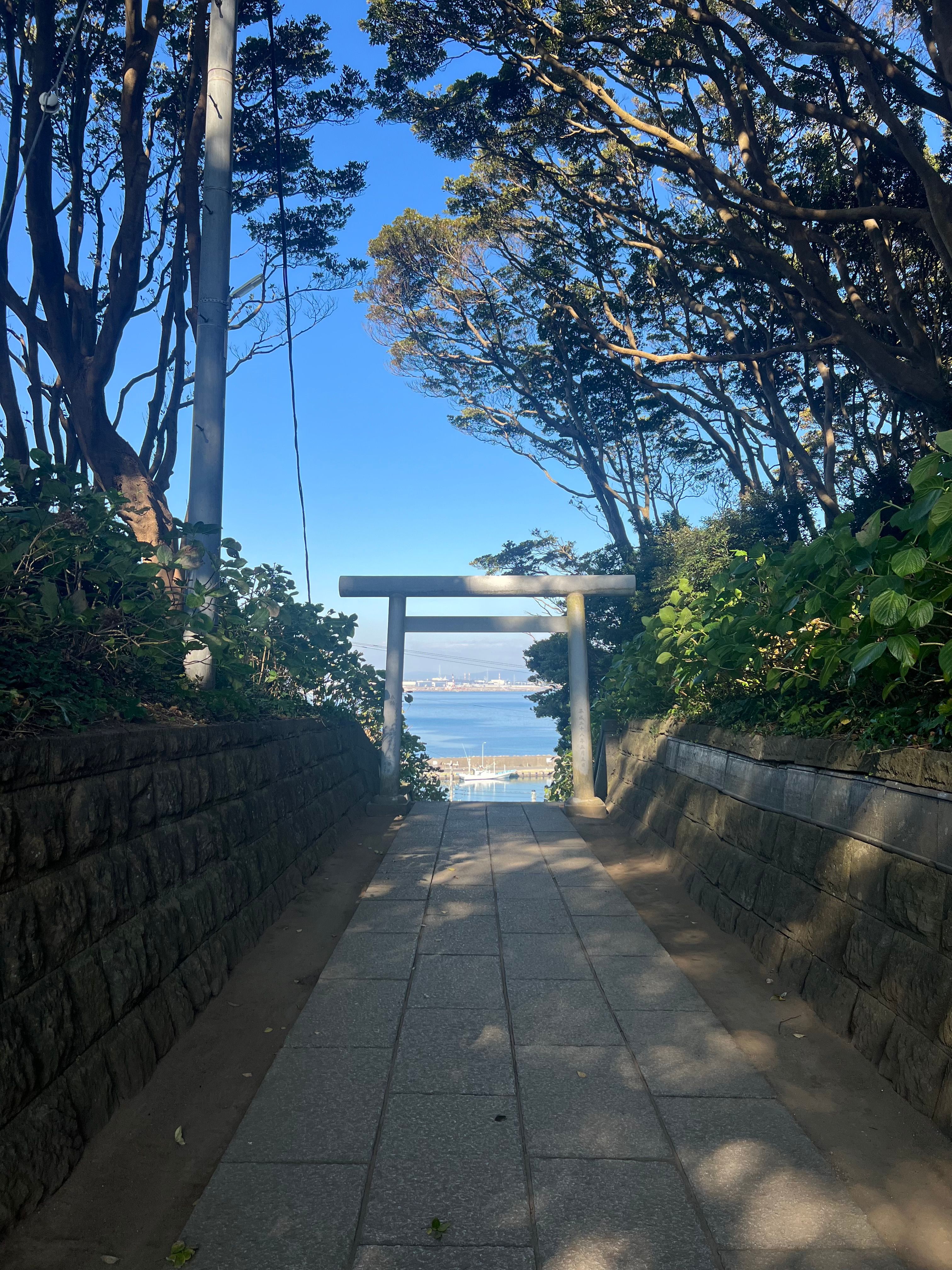 Sakurazaka Isozen Shrine | A Power Spot with a 300-Year-Old Tree