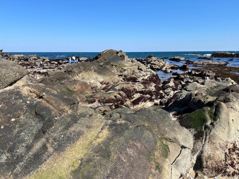 海と岩場が広がるドラマチックな平磯の海岸線