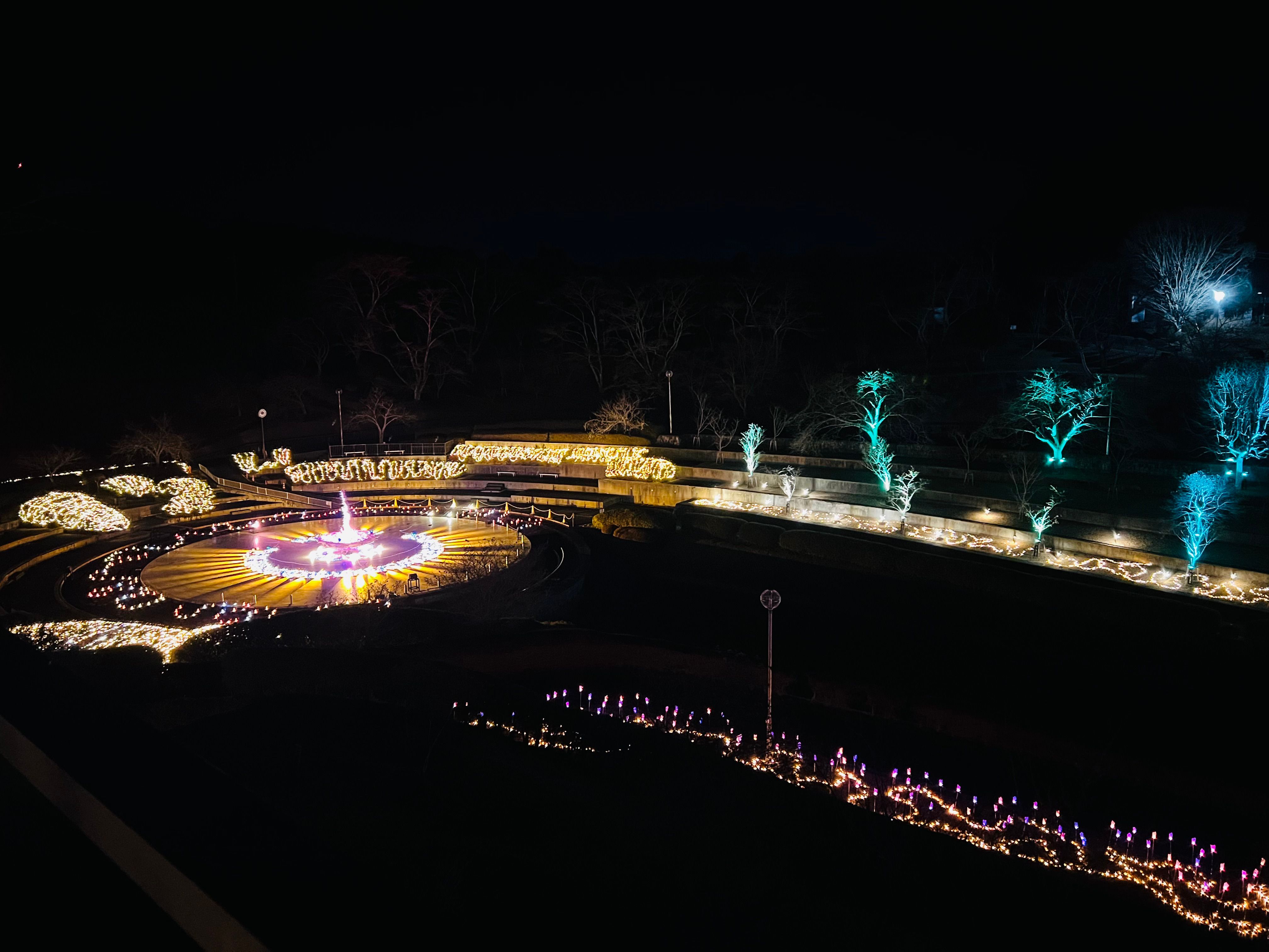 静峰ふるさと公園｜冬のイルミネーション「花ホタルのもり」【那珂市