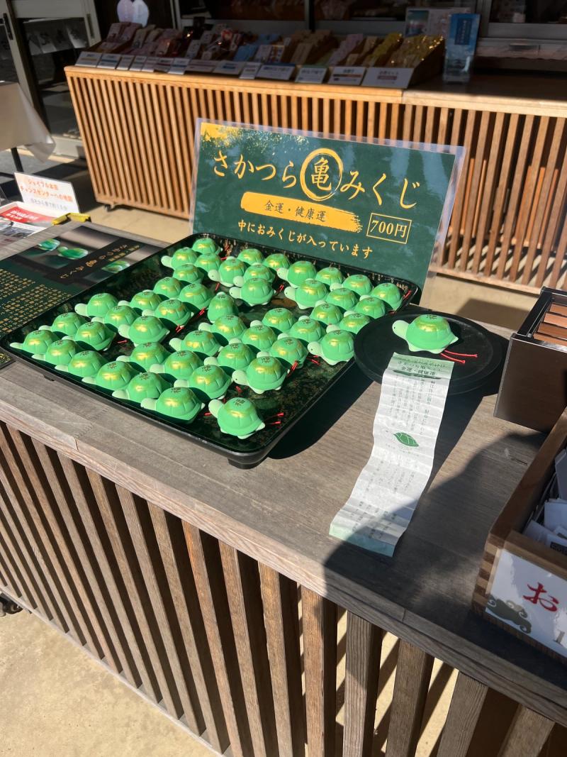 酒列神社亀おみくじ