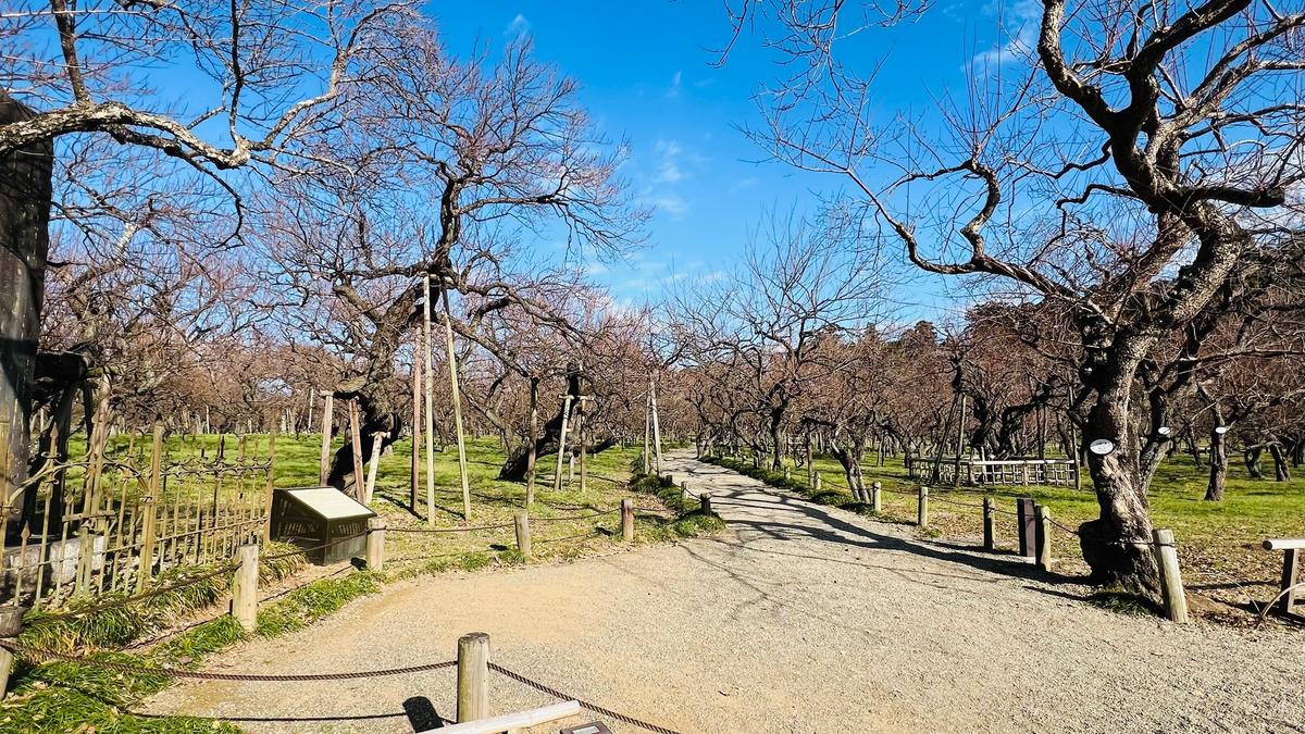 偕楽園｜水戸で日本三名園の歴史と四季の美を体感