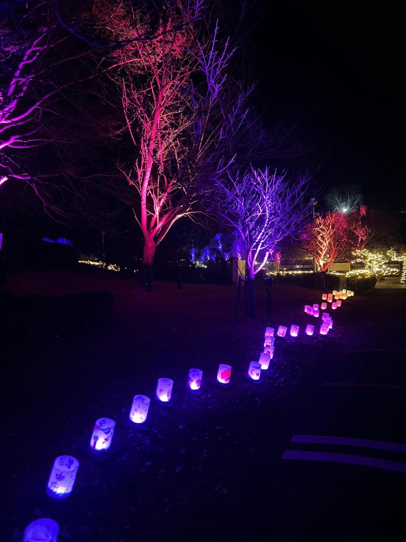 花ホタルのもり