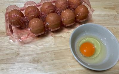 横須賀養鶏場｜濃厚な新鮮おれんじ玉子が買える直売所【ひたちなか市】