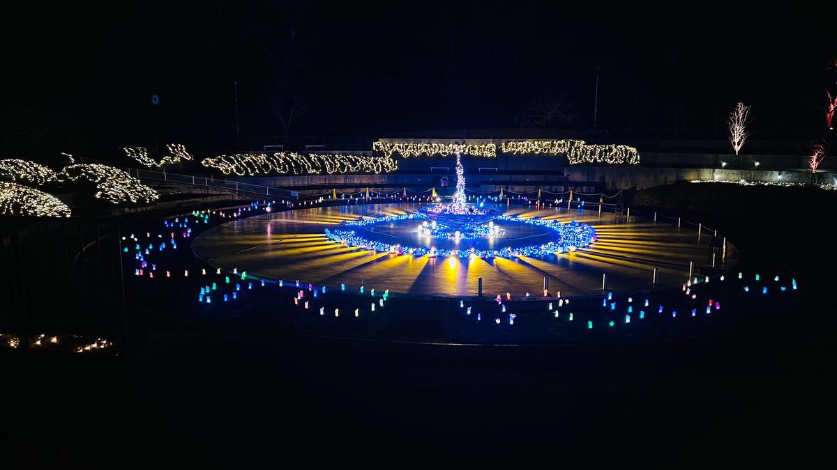 静峰ふるさと公園｜冬のイルミネーション「花ホタルのもり」【那珂市】