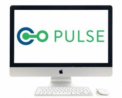 Pulse Online on an iMac