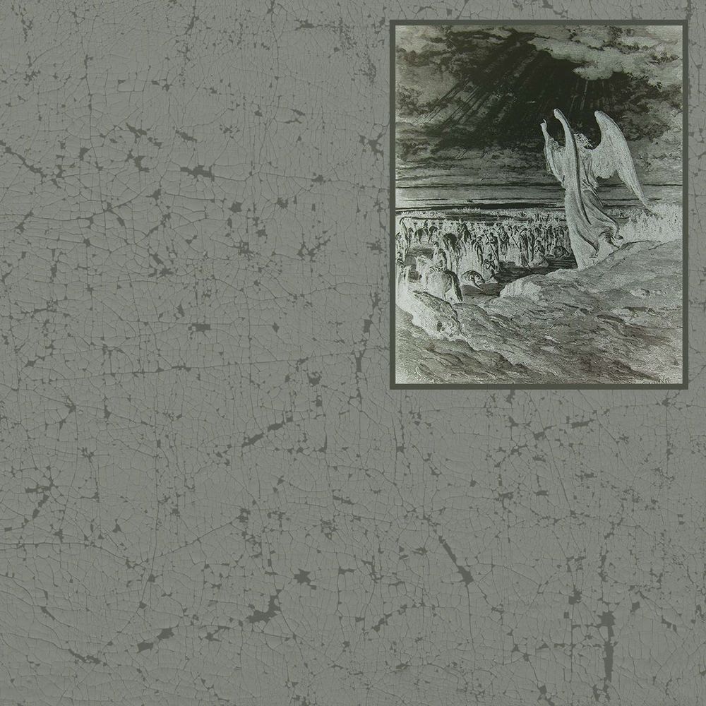 Show image