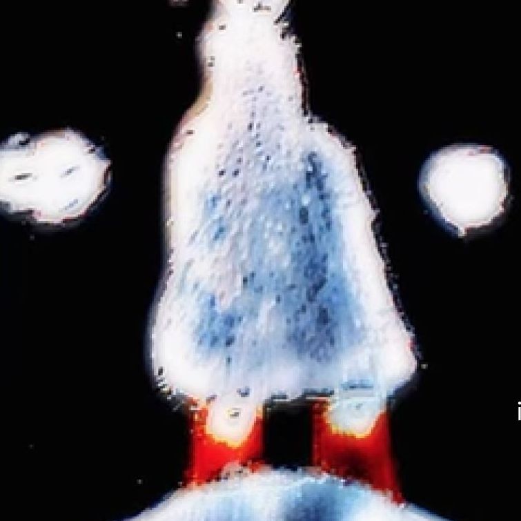 Show image
