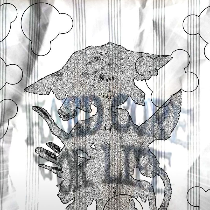 Show image