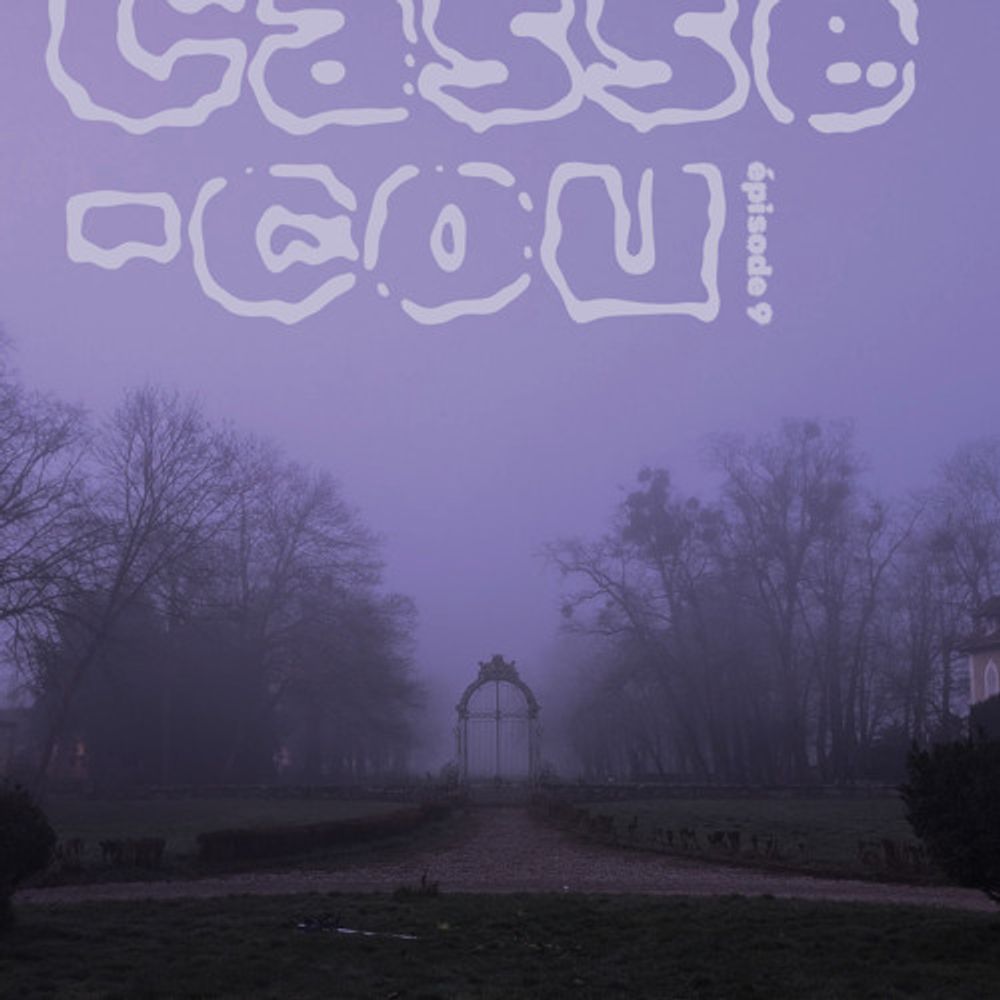 Show image