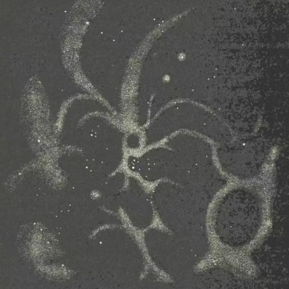 Show image