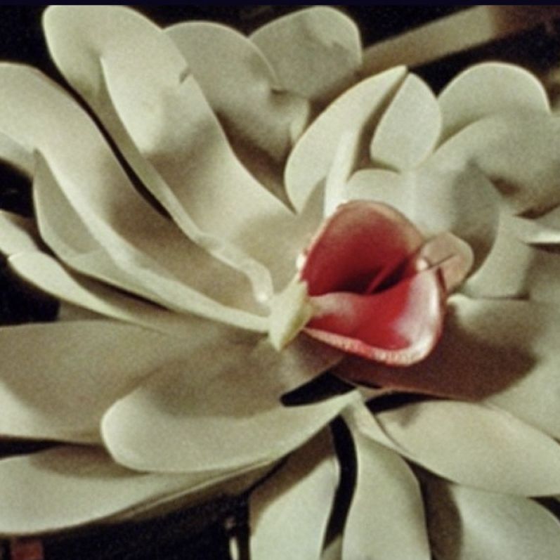 Show image
