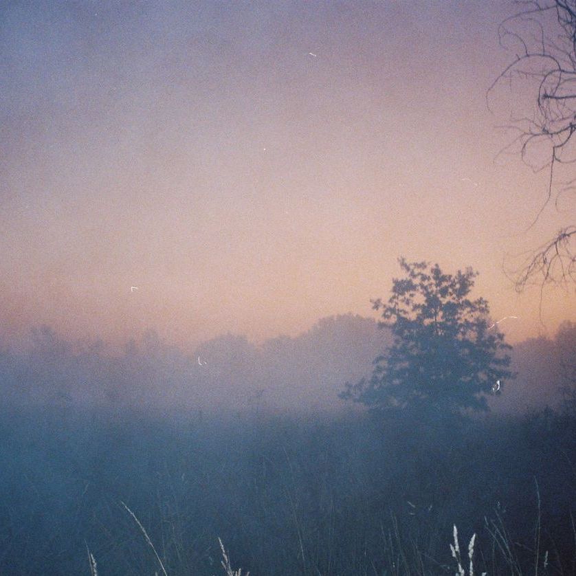 Show image