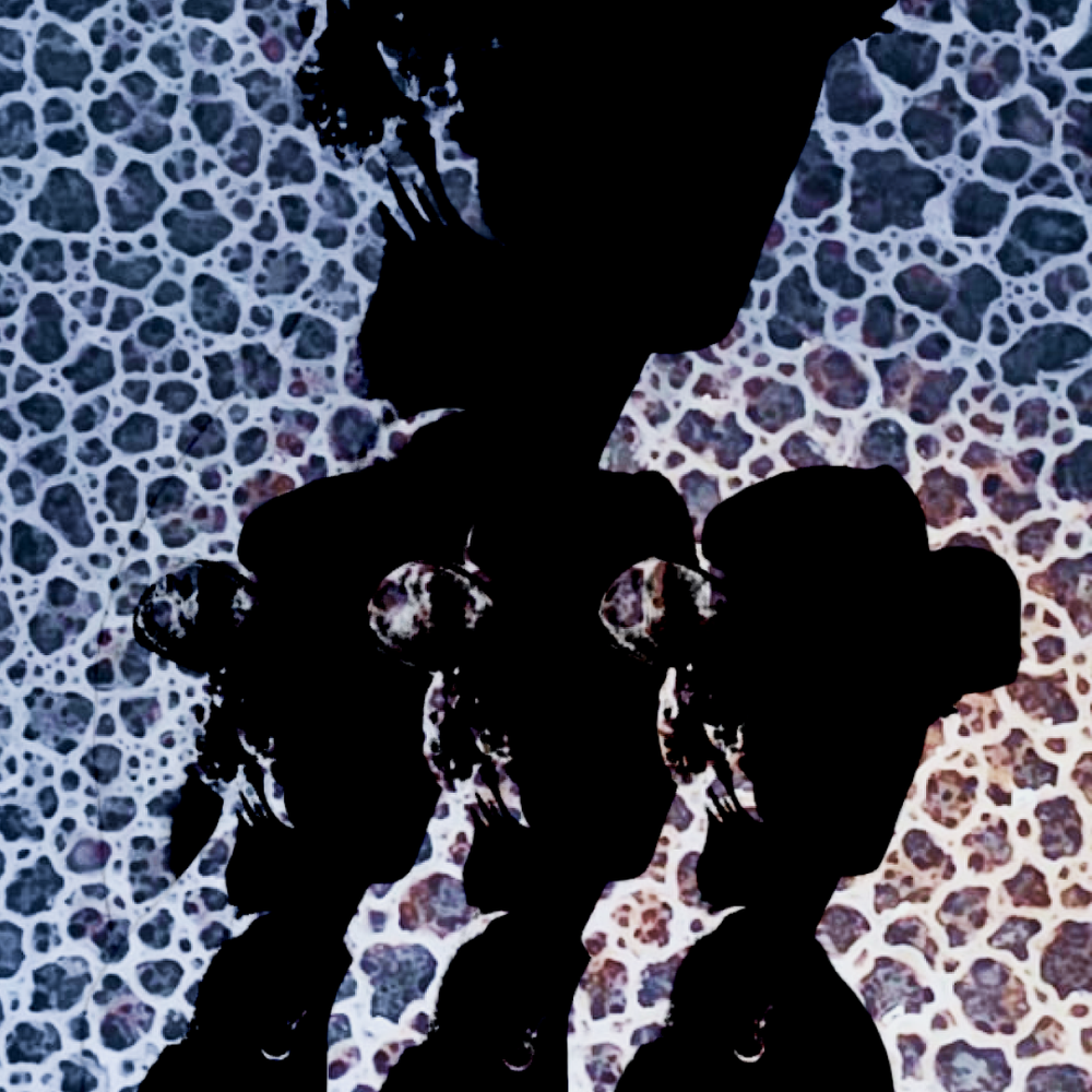 Show image