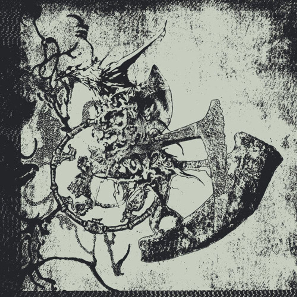 Show image
