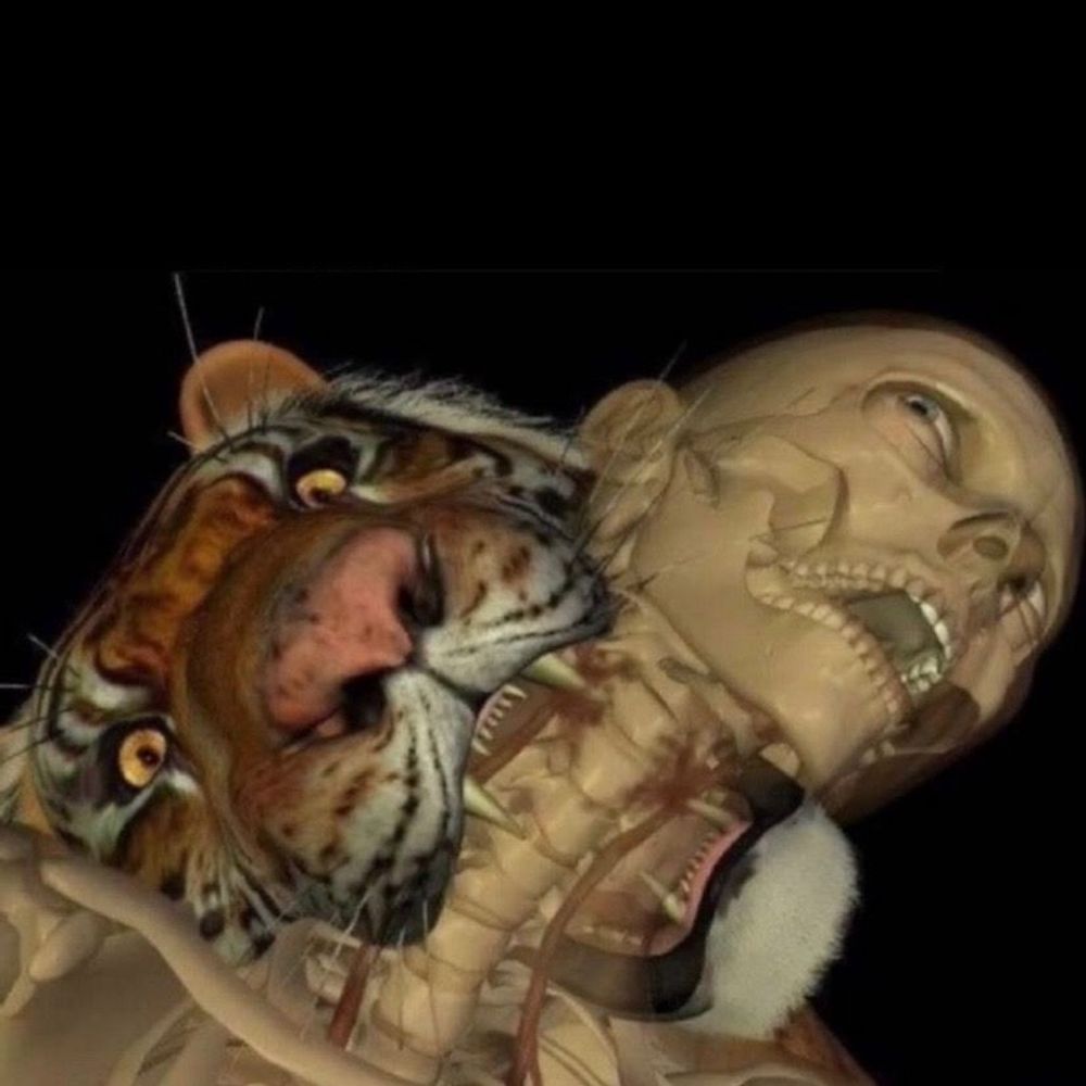 Show image