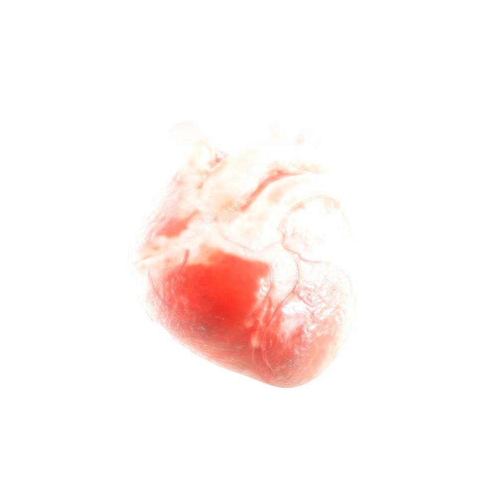 Show image