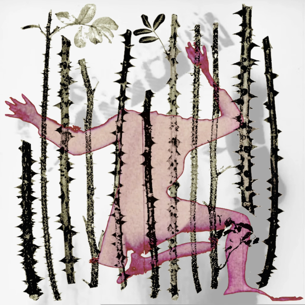 Show image