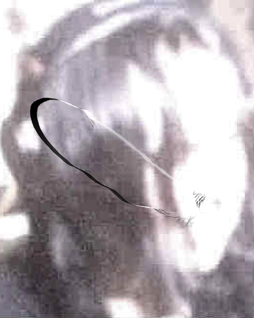 Show image