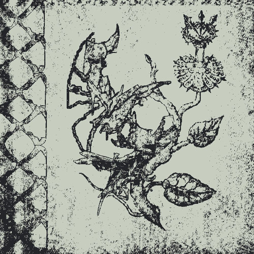 Show image