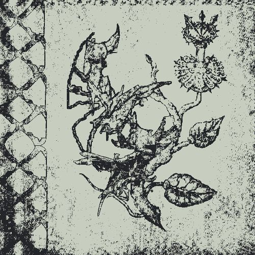 Show image