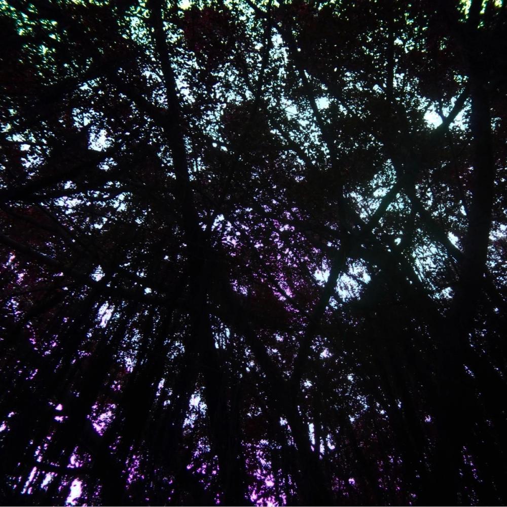 Show image