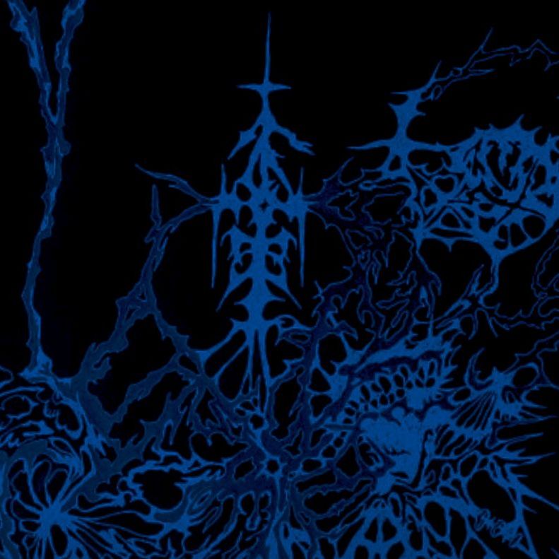Show image