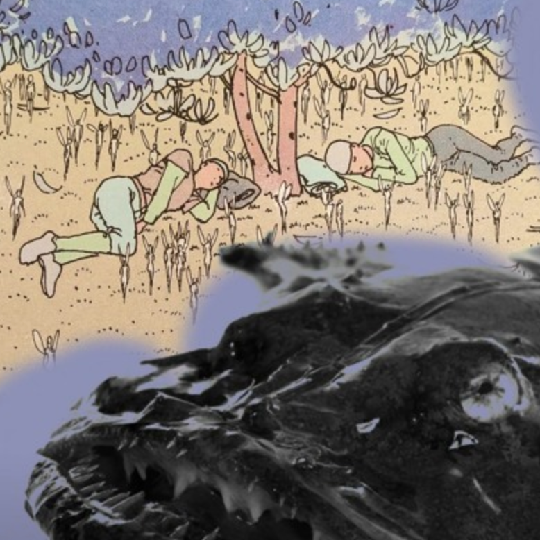 Show image