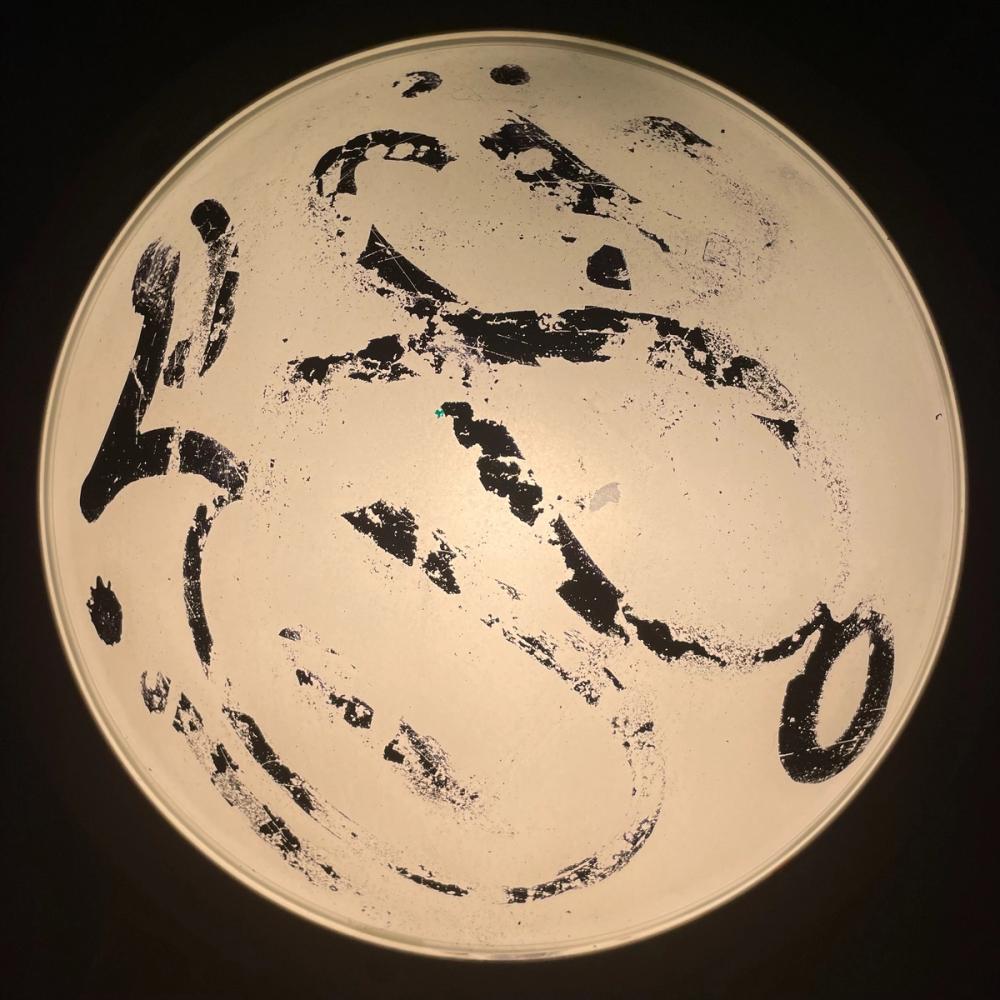 Show image