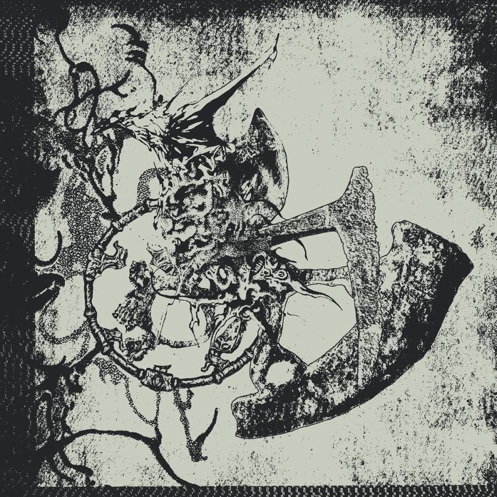 Show image