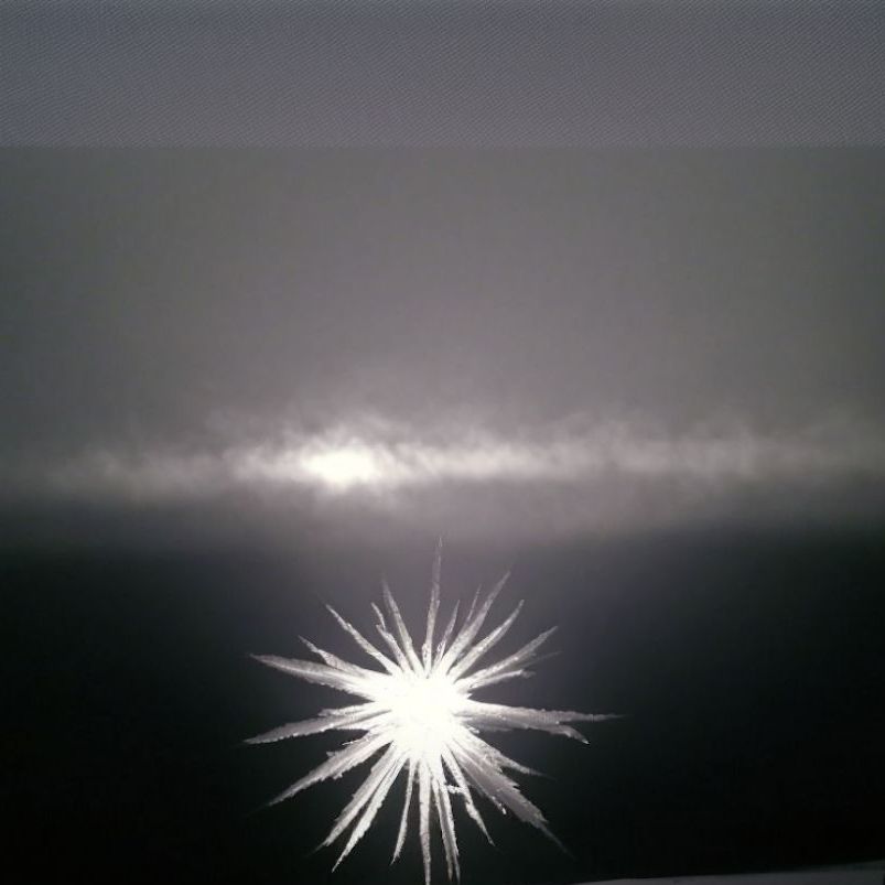 Show image