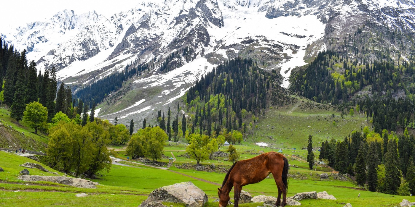 Sonmarg Thajiwas Glacier