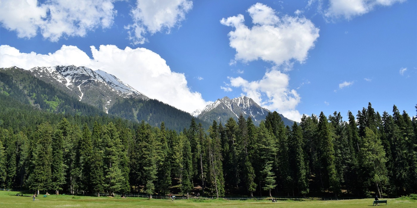 Baisaran Valley green meadows surrounded by pine forests in Pahalgam
