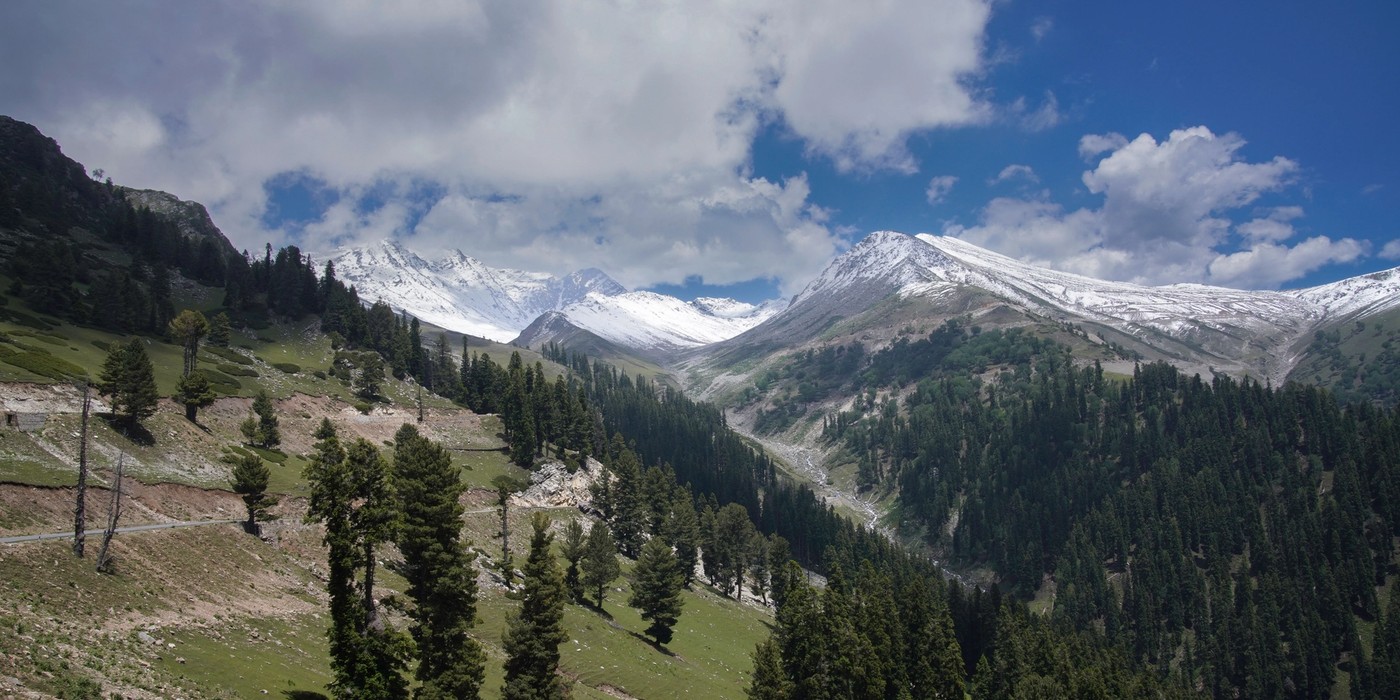 Daksum Valley forests and mountain scenery in Kashmir